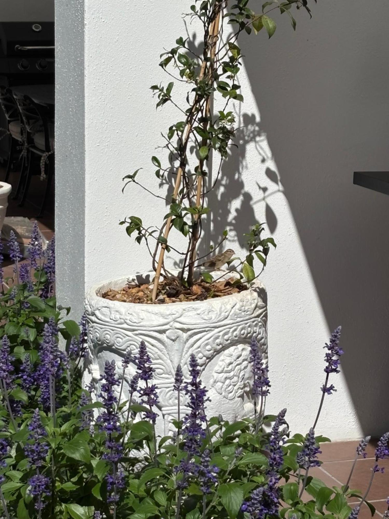 Hotel Nassau Guest Farm Stellenbosch Exterior foto