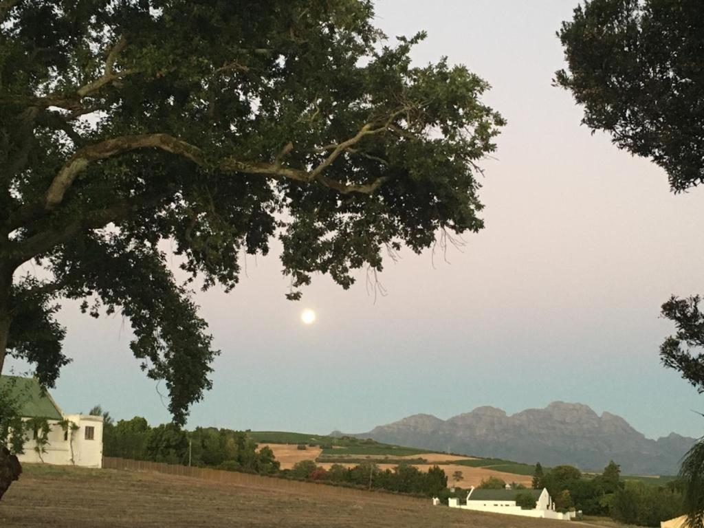 Hotel Nassau Guest Farm Stellenbosch Exterior foto